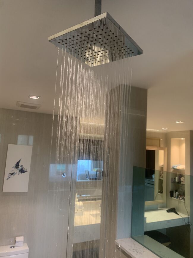 シャワーと言えば、、、お部屋はレインシャワーでした。勿論ハンドシャワーもありますよ。