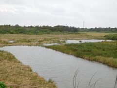 池間湿原