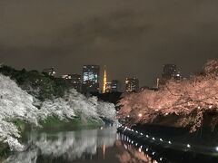 こちらが夜の千鳥ヶ淵一番人気の撮影スポットです。
行列にならぶと1時間待ちくらいでしょうか。
東京タワーが真ん中に見える人気スポットです。