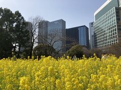 そして、場所は変わり『浜離宮恩賜庭園』へ。