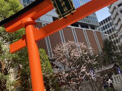 オカメザクラ通りの側には『福徳神社』があったので、立ち寄りました。
芽吹稲荷とも言われ、由緒ある土地に建てられた都会の神社で、宝くじの当選祈願のパワースポットとして知られているそうです。