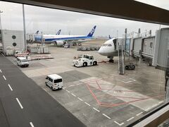 久しぶりの羽田空港です。仕事をすませてから夕方のANA便で長崎に出発です。