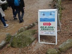 あなごめしを堪能した後は、弥山に行ってみます
ロープウエイ乗り場までのシャトルバスは12時台はなく
あるいてロープウエイ乗り場まで行きます
これがまた大変