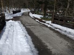 田代橋はこれだけ雪がなくなっています。