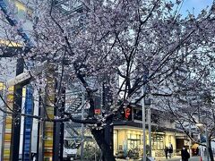 今日は初日なので京都御苑だけにしました。

地下鉄烏丸御池で降りて、ホテルに向かいます。