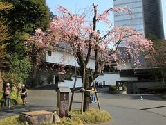 雅叙園前にお七の井戸