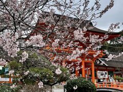 京都滞在2日目は、上賀茂神社からスタートです。

中門と桜のコラボが素敵ですね。