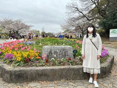 舞鶴公園の花壇