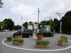 そして、11:20頃、ついに備瀬のフクギ並木駐車場へ到着。平日ということと、まだ午前中なので、車は無事に停められました。