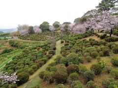 前日にお宿へ向かう途中、西南戦争最大の激戦地「田原坂」の標識を見かけた。
え～～、ここにあるの？！

アホな私たち夫婦は今回熊本に来るまで、田原坂は鹿児島県にあるものだと思っていた。
f(^^; 
死ぬ前に真実を知ることが出来てよかったわ。

という事で、お宿を出てまずは田原坂へ。
田原坂公園の駐車場に車を停める。
かつての激戦地も、今は整備された静かな公園になっている。

イノシシが出没するそうなので、注意が必要。

