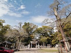 野田八幡宮へ。