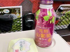 夕方帰路へ
新幹線は満席でした