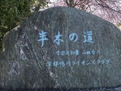 右に賀茂川を見ながら、上賀茂神社から北大路橋まで、散歩道(半木の道)を歩きました。

雨がパラパラ降ってきました。