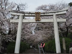 宗忠神社です。
階段脇に桜。地元の人によると昔はもっとぎっしりと桜のトンネルだったみたい
