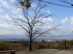 伏見稲荷から約15分、大岩山展望所に到着。長岡京市や京都西山方向、石清水八幡宮まで眺められます。