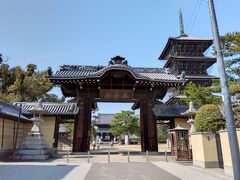 ここからまずは四国最大級の寺院、善通寺へ向かいます。弘法大師生誕の地とされ、金堂、五重の塔などの大伽藍が建っています。