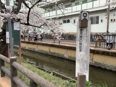 駅を出て少し歩くとすぐ宿河原の桜並木の看板。