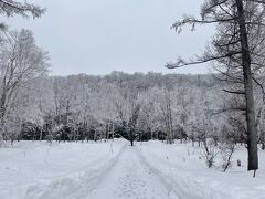 バス停を降りると目の前に一本道があるので、途中にある駐車場を横切りながら進みます。