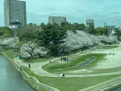 左側に家康ブームの岡崎城が見えます。