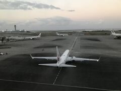 空港で飛行機を眺めているうちに明るくなってきました。