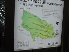 12:47、再び小峰公園の最高地点に戻ってきました。地図確認。朝は桜尾根から来たので、帰りは別の道を通りたいと思います。地図に「急な階段」と書かれている道です。