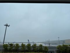 乗換で新千歳空港へ
羽田空港乗換遠い、歩いたー