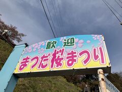 新松田駅で下車して桜まつりへ。