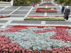 美ら海水族館へ。
海洋博公園は入場無料です。
たくさんの花が咲いており綺麗です。