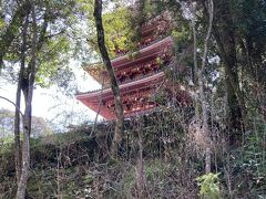 展望台から遊歩道を歩いて、お寺と植物園に行かれます。