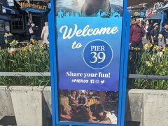 Pier39へ