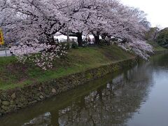 翌朝 福岡城址へ。桜祭りしていました。
