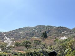 　こちらは嵐山。嵐山を借景にするなんて、なんて贅沢な。
　この前で写真を撮りたがっている若いお二人。シャッターを押してあげました。ドイツからいらしたそうで、日本人ガイドが説明していました。ここをツアー先に選ぶなんて、ちょっとディープな変わったツアーです。