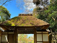 さあ！改めに観光に戻ります～^ ^

『法然院』
法然院は、京都市左京区鹿ヶ谷にある浄土宗系単立の寺院。山号は善気山。本尊は阿弥陀如来。元は浄土宗であったが独立し、現在は単立宗教法人である。正式名は「善気山法然院萬無教寺」と号する。別称には「本山獅子谷法然院」がある。現在、寺の一部を定期的に講演会やコンサートなどを催す場として開放している。 (ウィキペディア)

