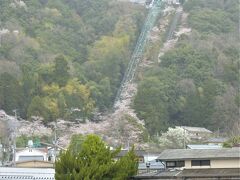 傘松公園は天橋立で一番の桜の名所です。


船からだけ楽しませてもらいました。

その後、近くまで行きましたが全景は撮れませんでした。
