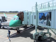 ボーディングブリッジ、前回は四万十川とか書かれていたな。
今回は桂浜。