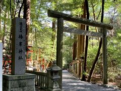 椿岸神社にも参拝にうかがいました
個人的には
こちらの神社が好きなのです





