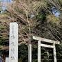 三重から千葉まで弾丸2泊3日の女史旅：２日目　椿大神社に御礼参り→空路で成田