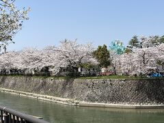　2023年3月29日（水）旅行3日目の続き
　舟からの眺めがあまりに素晴らしかったので、予定変更して、ちょっとお散歩。
　動物園の桜並木が美しいです。