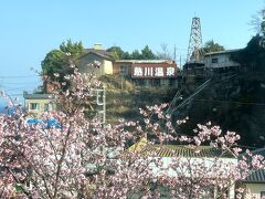 熱川にも桜の便りが届いていますよ～♪
