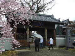 『第5番札所 地蔵寺』
地蔵寺も、桜と仁王門を撮影。