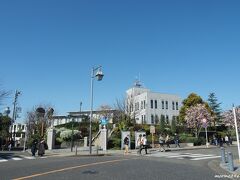 横浜地方気象台前　３/１9

横浜の桜の開花宣言は、この地方気象台にある桜の木で判断されているそうです。