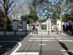 食後は桜の時期ですし、明日からは要予約みたいなので桜を見に行っちゃいま…あれ？