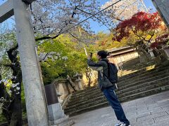 紅葉八幡宮の大鳥居と桜を撮影中