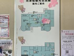 河津桜観光交流館