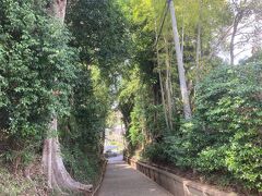 佐倉は坂道が多い。電動自転車を借りたらよかった。