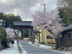 京成佐倉から成田方面に3駅の宗吾参道駅に。
しばらく歩くと、山門があります。でも、ここから10分以上は歩いた。
