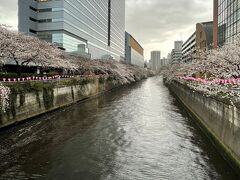 ＜目黒川＞

太鼓橋からの景色。

雨が強く降ってきたので次へ。
次は「東京ミッドタウン」です。