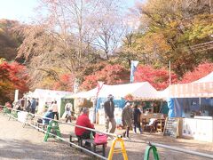 花貫渓谷駐車場に到着。
駐車場までかなりの渋滞でしたが、ツアーバスを優先して通してくれたので、私たちは待つことなく到着しました。