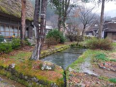 見学施設「長瀬家」の庭です。白川の景色でここが一番良かったです。