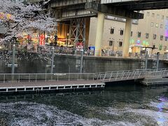 またまた五反田に
目黒川、花筏
これも綺麗でいい
一面が埋まる花筏を見たい